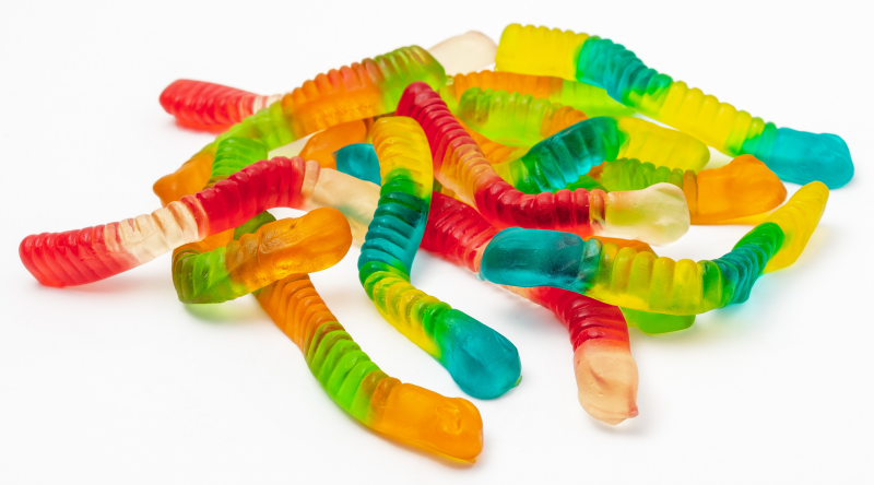 The dreaded Drupal can of worms - Photo by Bill Craighead on Unsplash The dreaded Drupal can of worms